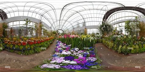 360° View Of Winter Garden In Auckland Domain 3 Alamy