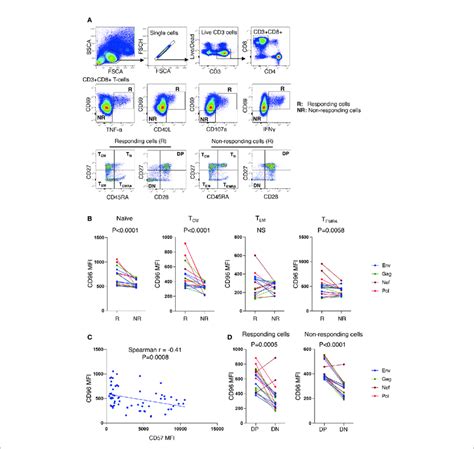 Higher Expression Of Cd96 On Responding Cd8 T Cells From