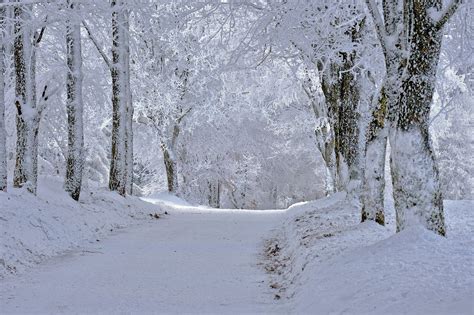 Pathway Winter Snow Free Photo On Pixabay