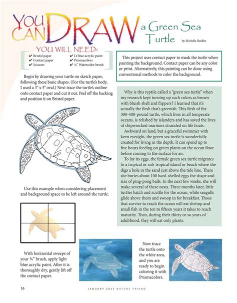 Sea Turtle Acrostic Poem Sitedoct Org