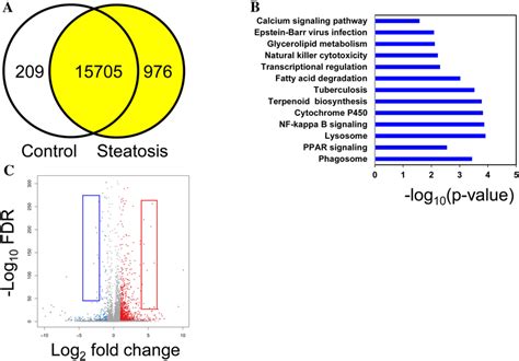 Differentially Expressed Genes According To Rnaseq From Livers In A