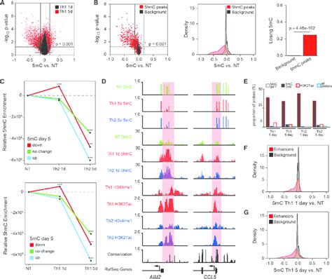 Dna De Methylation Occurs Via Hmc During In Vitro Differentiation Of