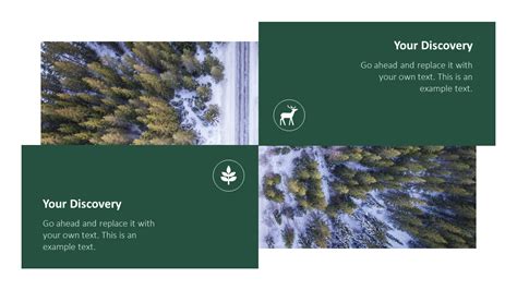 Forest PowerPoint Templates Multipurpose Design