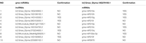 Frontiers Milnp Plant Lncrnamirna Interaction Prediction Based On