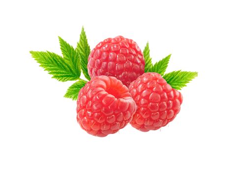 Berry Png Transparent Background 29228729 Png