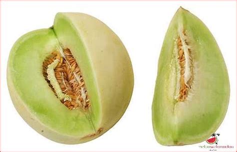How To Ripen Honeydew Melon Expert Tips And Tricks Updated June 2025