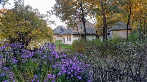 Muzeum Wsi Kieleckiej Weselakowa I Sp Ka