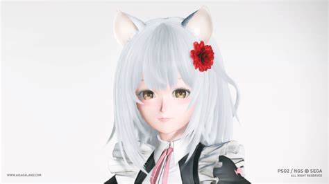 Pso2 Ngs Character Creation Custom 16 Aisaga Land