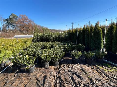 Kinsey Gardens, inc. | Knoxville TN