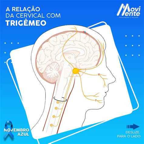 O NÚcleo Trigeminal E As Dores De CabeÇa Rede Movimente