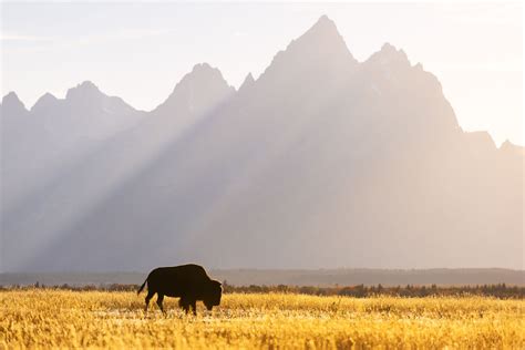 Rocky Mountains Photography Tours And Workshops