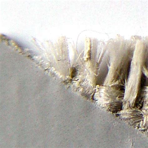 InVisi Vollkunststoff – LaVitio