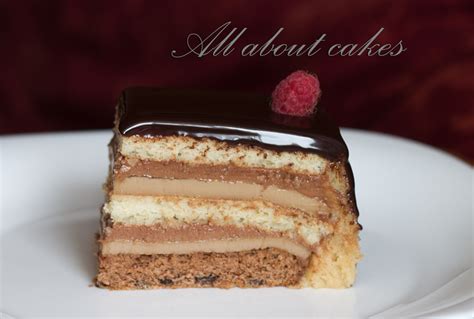 All about cakes: Шоколадно-малиновый торт