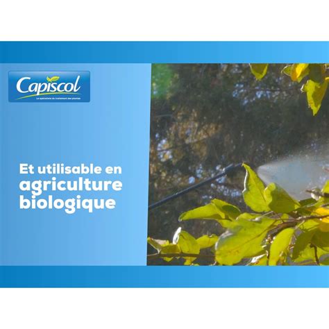 Solabiol Bb Bouillie Bordelaise Tui G Protection