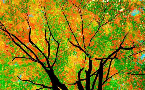 Chris Thompson Photography And Design