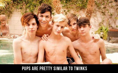 What Is Gay Twink The Ultimate Guide To Understanding Gay Twinks