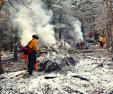 Rogue River Siskiyou National Forest Fire Management