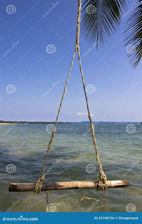 swing hanging   coconut tree stock photo image  green