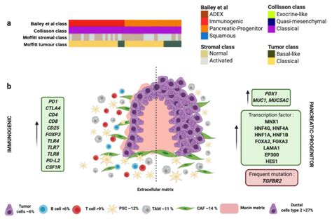 The Match Between Molecular Subtypes Histology And Microenvironment Of