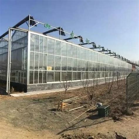 Yutuo Agricultural Venlo Multi Span Garden Hydroponic Greenhouses Glass