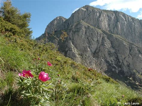 Il Parco Delle Alpi Liguri La Mia Liguria