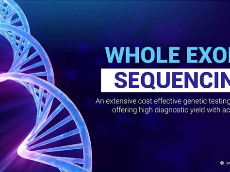 Exome Sequencing Archives Genes2Me Blog CE IVD Approved RT PCR POC