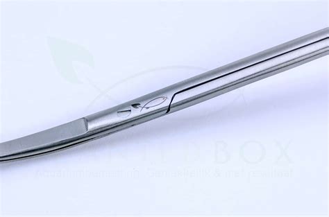 Aquarium Scissor For Carpeting Plants Nude Scissor PlantedBox