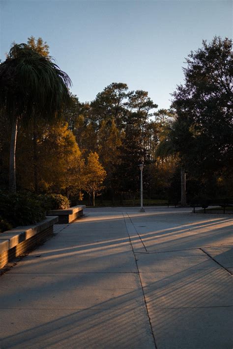 Ucf Winter Break 2024 Davine Etheline