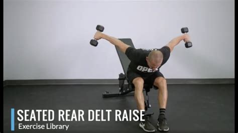 Seated Rear Delt Raise Opex Exercise Library Youtube