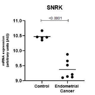 SNRK Is Expressed At Significantly Lower Levels In The Endometrial