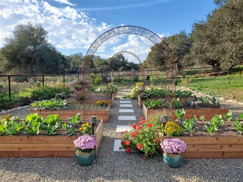 Homestead Update: Fall Garden Tour '22 (Video and Photos) ~ Homestead ...