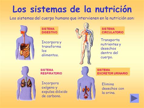 Blog De Jose Unidad Tema