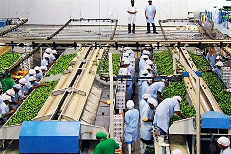 Víctor Tenorio La agroindustria se ha convertido en el futuro laboral