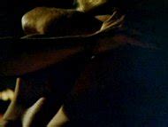 Naked Paulette Breen In Parts The Clonus Horror