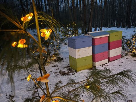 La Survie Des Abeilles Durant L Hiver Les Jardins Ar Mes Et Saveurs