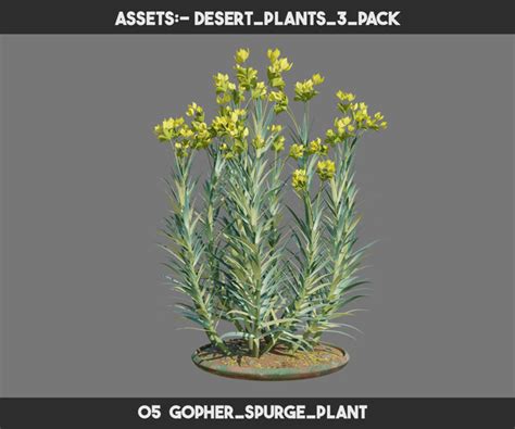 ArtStation - Desert Plants 3 PACK | Game Assets