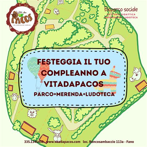 Festeggia Il Tuo Compleanno A Vitadapacos Vita Da Pacos