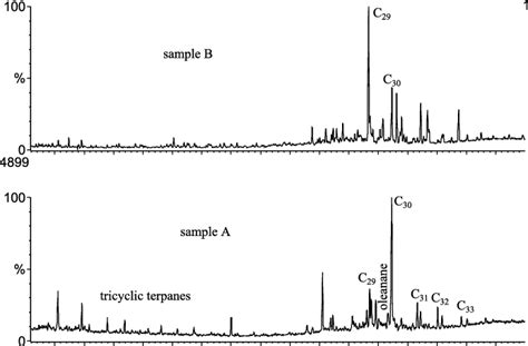 Mass Spectrograms M Z 191 For Menilite Beds From The Dukla Nappe 1