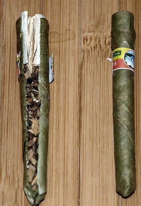 Черути (cheroot) – аюрведическая самокрутка « webshus.ru