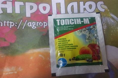 Фунгицид Топсин М: инструкция по применению, механизм действия, нормы ...