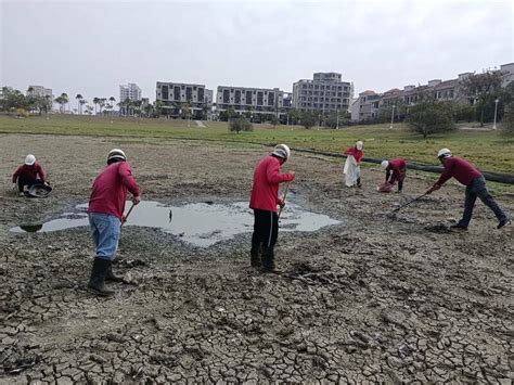 好臭！南科lm區蓮潭公園滯洪池缺水乾涸 清出約400條魚屍 臺南市 自由時報電子報