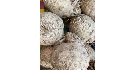 Корень сельдерея 1,5 кг - купить в Москве с доставкой на дом и в офис