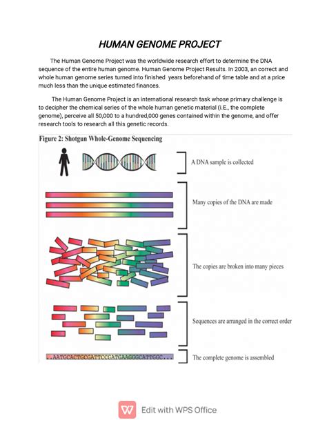 The Human Genom WPS Office HUMANGENOMEPROJECT The Human Genome