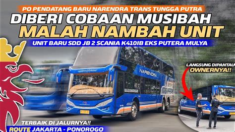 PO PENDATANG BARU RILIS UNIT LAGI BUS TERBARU SDD NARENDRA EKS PUTERA