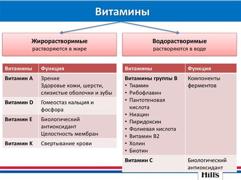 Основы диетологии - презентация онлайн