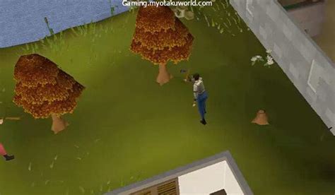 Is The Dragon Crossbow Worth Getting In Osrs Gaming Mow