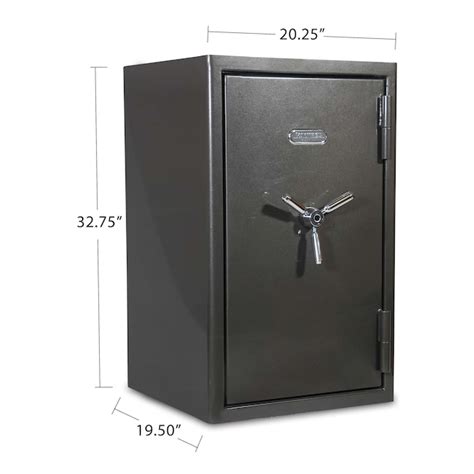 Sanctuary 498 Cu Ft Fireproof And Waterproof Home Safe With Biometric