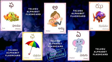 Telugu Alphabet FLASHCARD With Picture, Vowels and Consonants, Learning ...