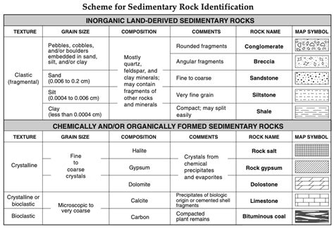 Week Sedimentary Rocks Diagram Quizlet