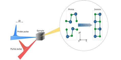 Group Theory And Physics Domone